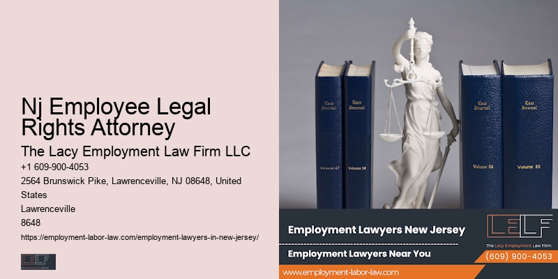 Employment Disputes Attorney Nj