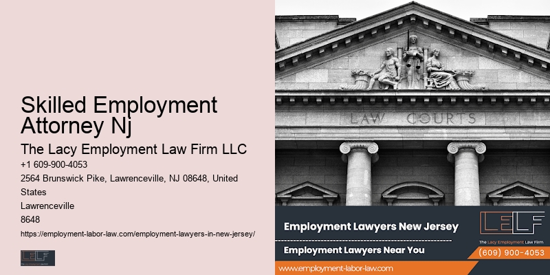 Skilled Employment Attorney Nj