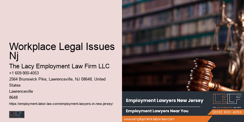 Nj Employment Legal Advisor