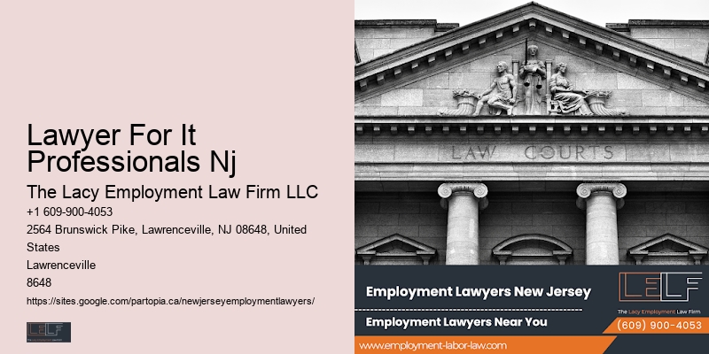 Lawyer For It Professionals Nj