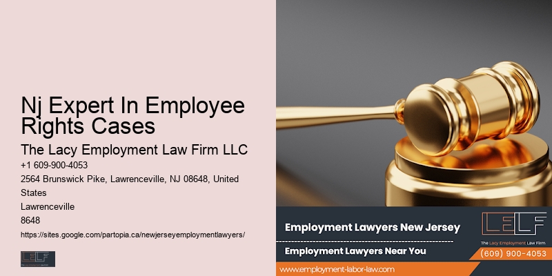 Nj Expert In Employee Rights Cases Employment Legal Advisor