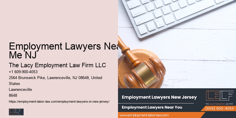 NJ Employment Litigation Expert