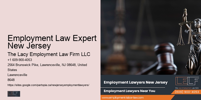 Employment Law Expert New Jersey