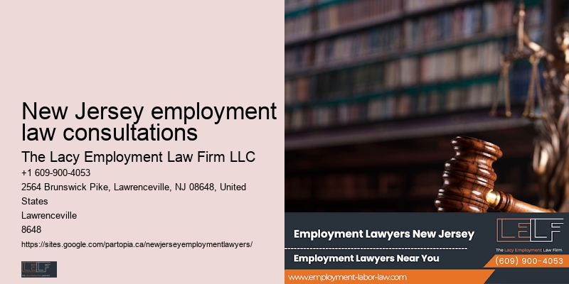 Top employment lawyers New Jersey employment law consultations