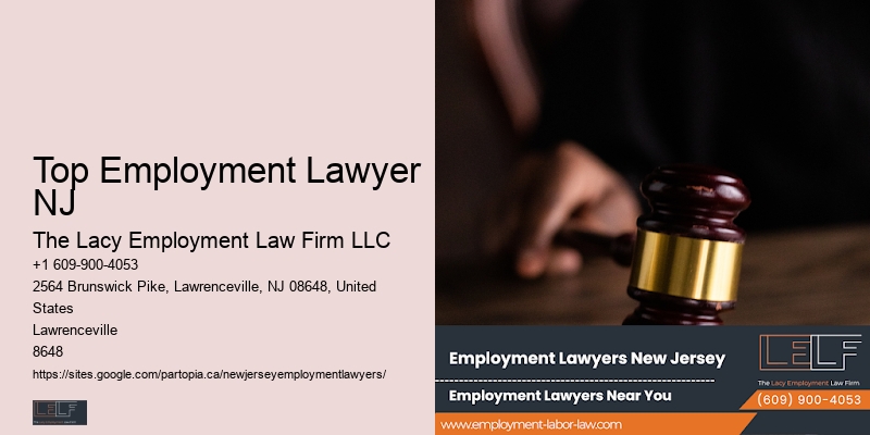 Top Employment Lawyer NJ workplace legal issues attorneys