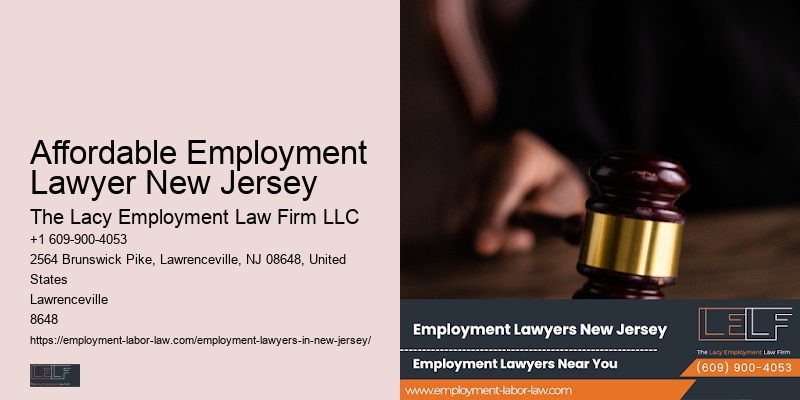 Affordable Employment Lawyer New Jersey Workplace Attorney