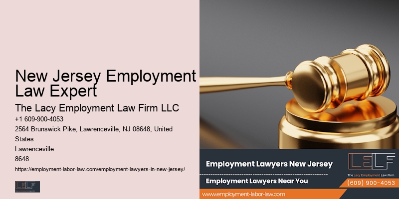 Experienced New Jersey Employment Law Expert Employment Law Attorney