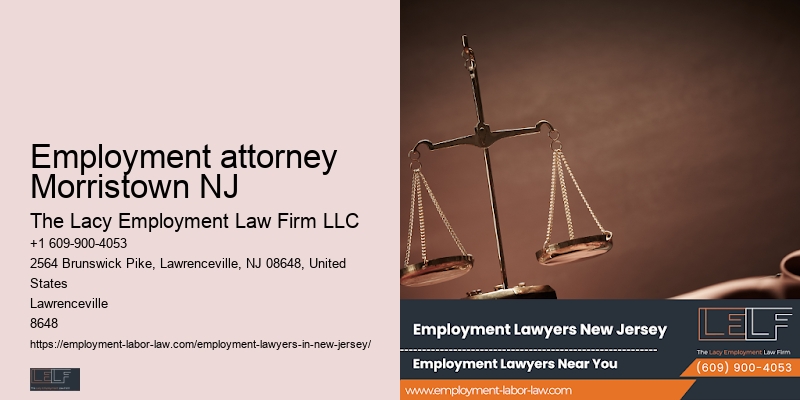 Top employment lawyer NJ