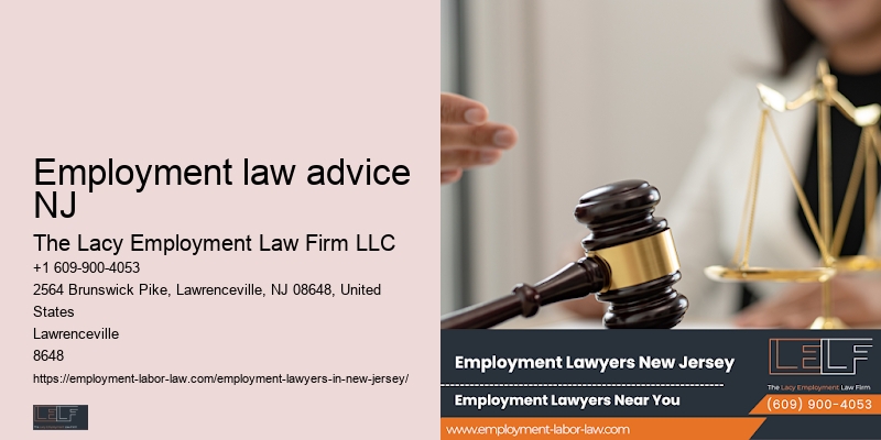 Skilled NJ workplace lawyer