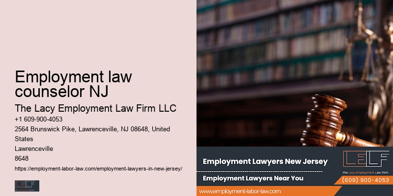 NJ employment law consultation services