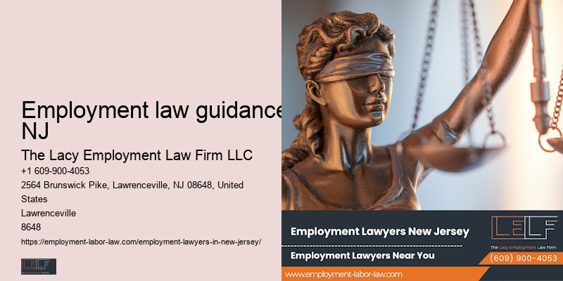 NJ wrongful termination attorney professional