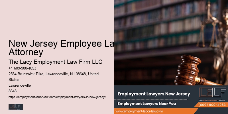 New Jersey Employee Law Attorney employment law consultation options
