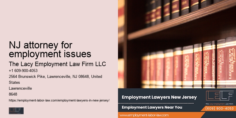 Expert employment lawyer in NJ