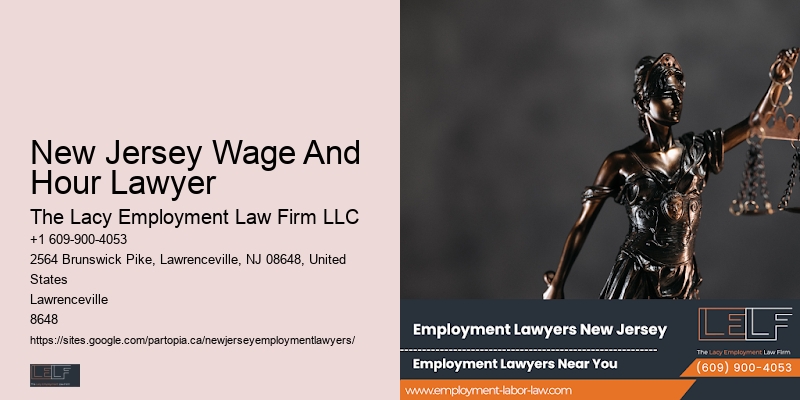 Skilled NJ employment law advocate