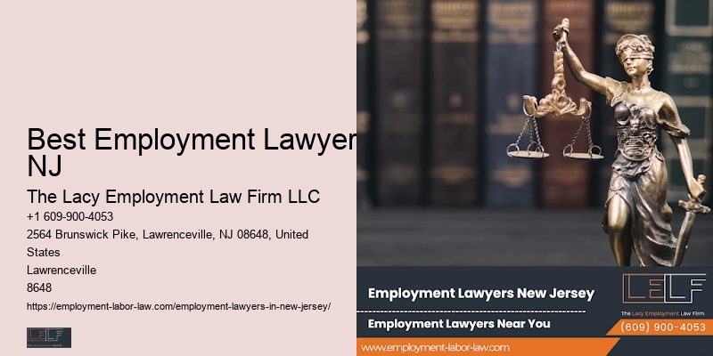 Top Employment Lawyers In New Jersery