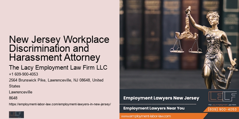 New Jersery Plaintiff Employment Lawyer