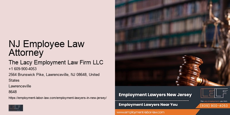 Employment Solicitor