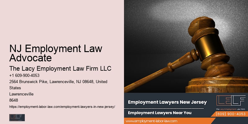 Employment Dispute Lawyer New Jersery