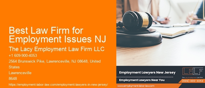 Best Law Firm for Employment Issues NJ