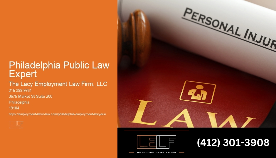 Skilled Law Services In Philadelphia Public Law Expert