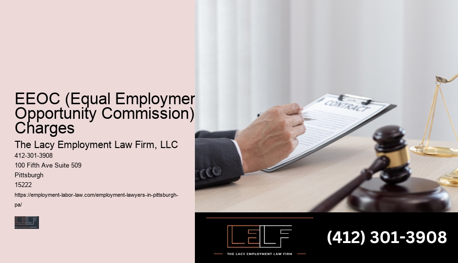 Legal Help for Employment Issues