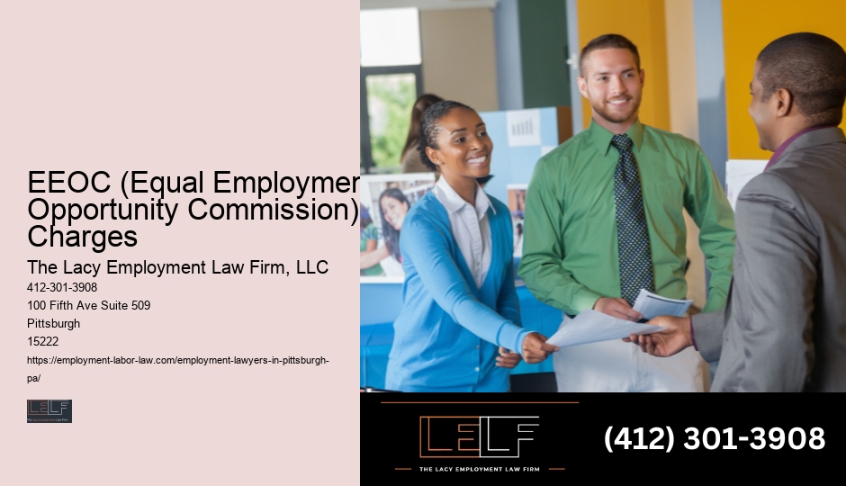 Certified Employment Law Assistance Pittsburgh