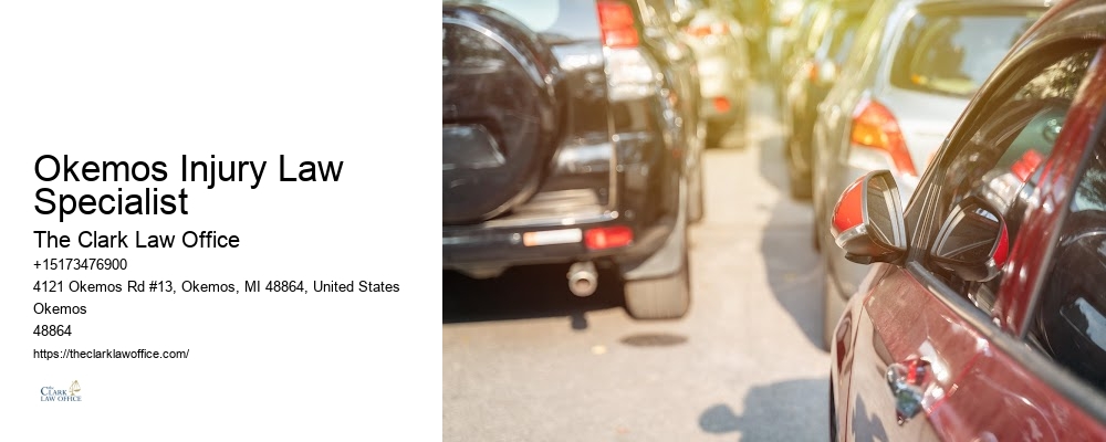 Okemos Injury Law Specialist
