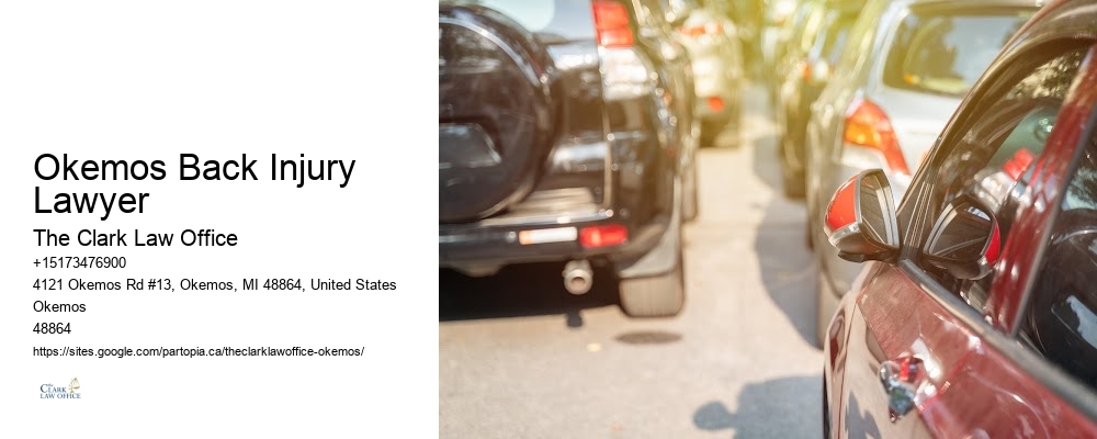 Okemos Back Injury Lawyer