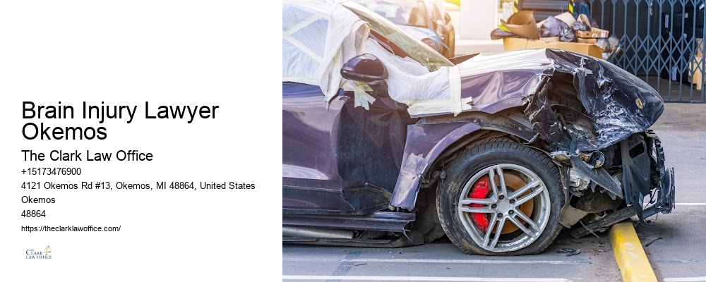 Legal Assistance for Accidents Brain Injury Lawyer Okemos
