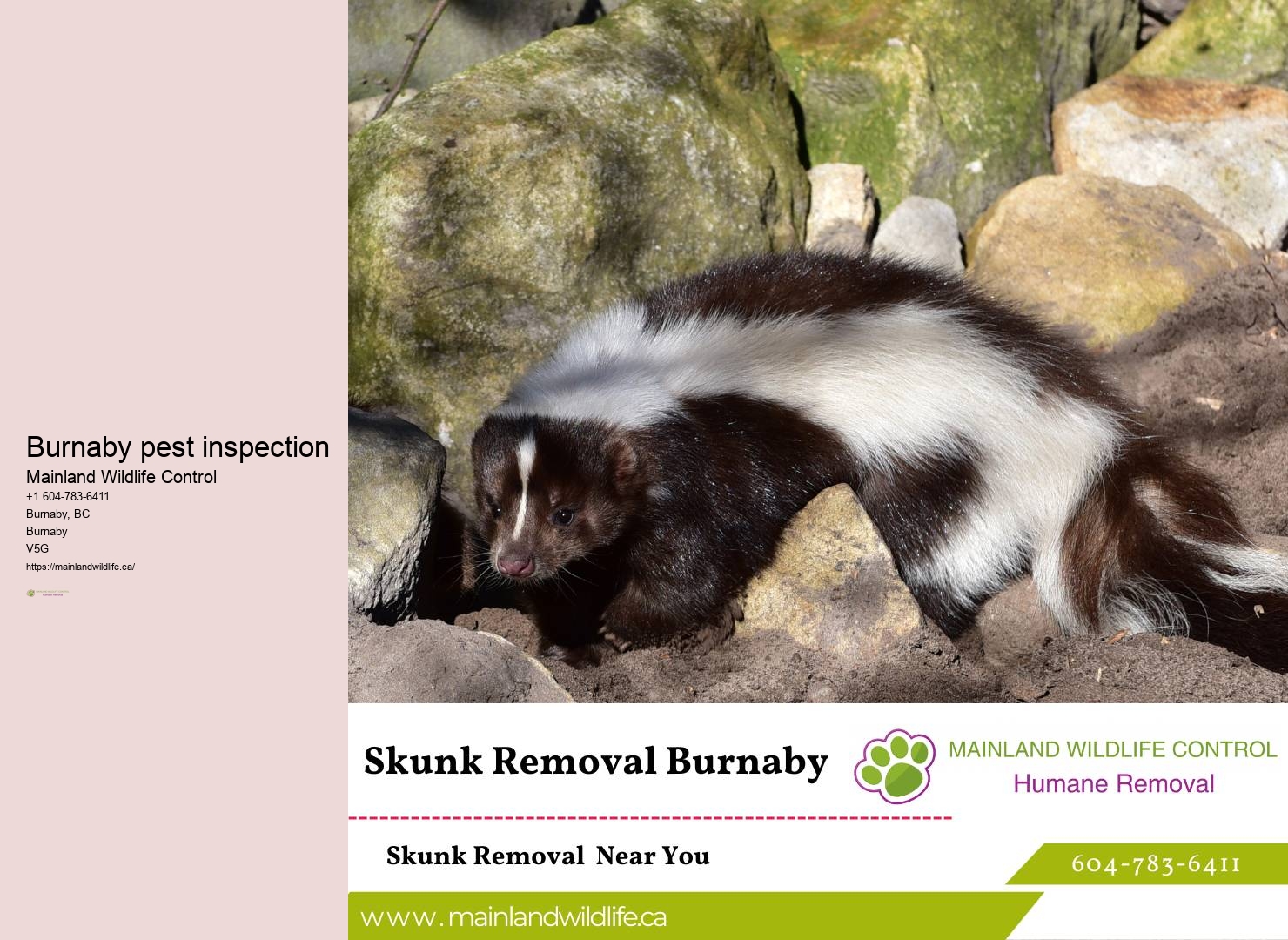 Automated Pest Control Systems Burnaby