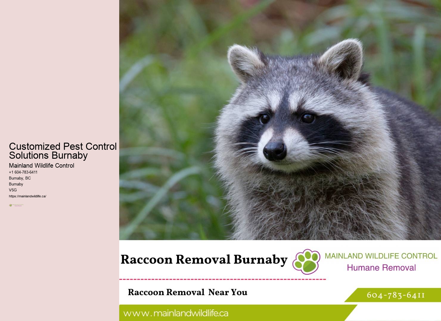 Trusted Residential Pest Prevention Burnaby