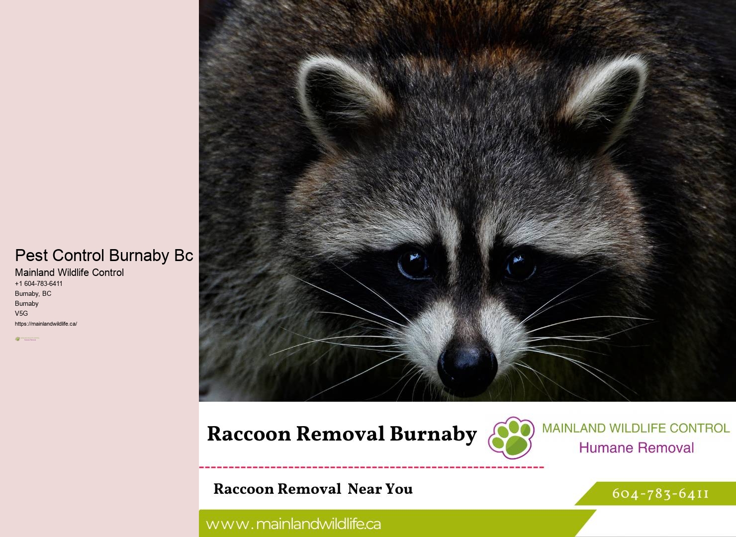 Pest Control Burnaby Bc