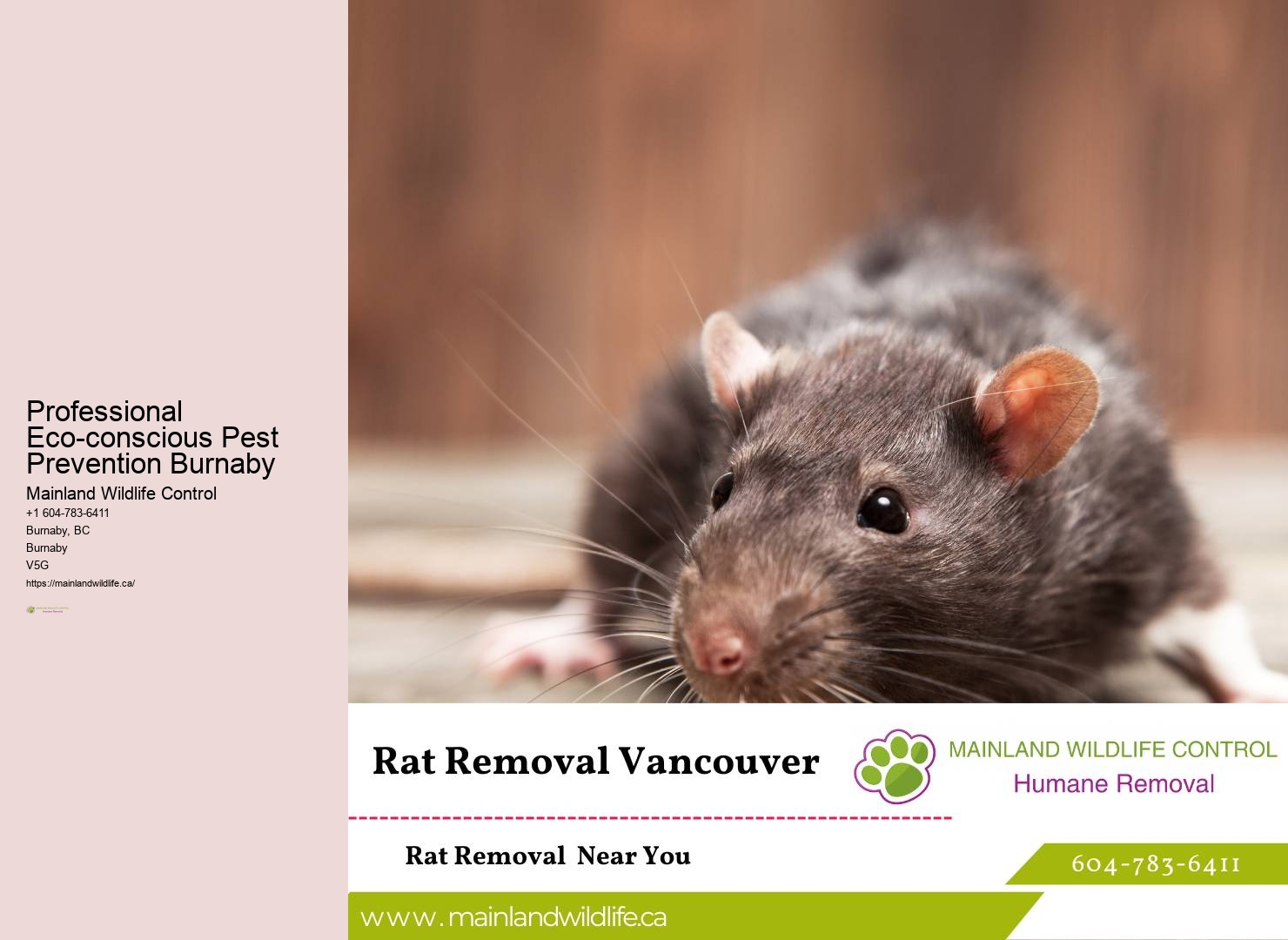 Advanced Eco-conscious Pest Removal Approaches Burnaby