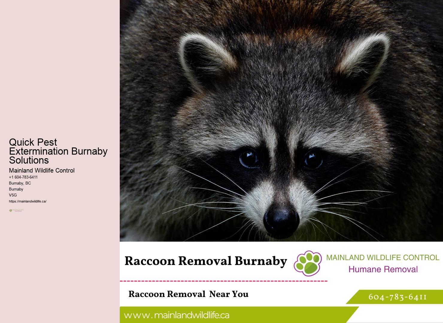 Quick Pest Extermination Burnaby Solutions