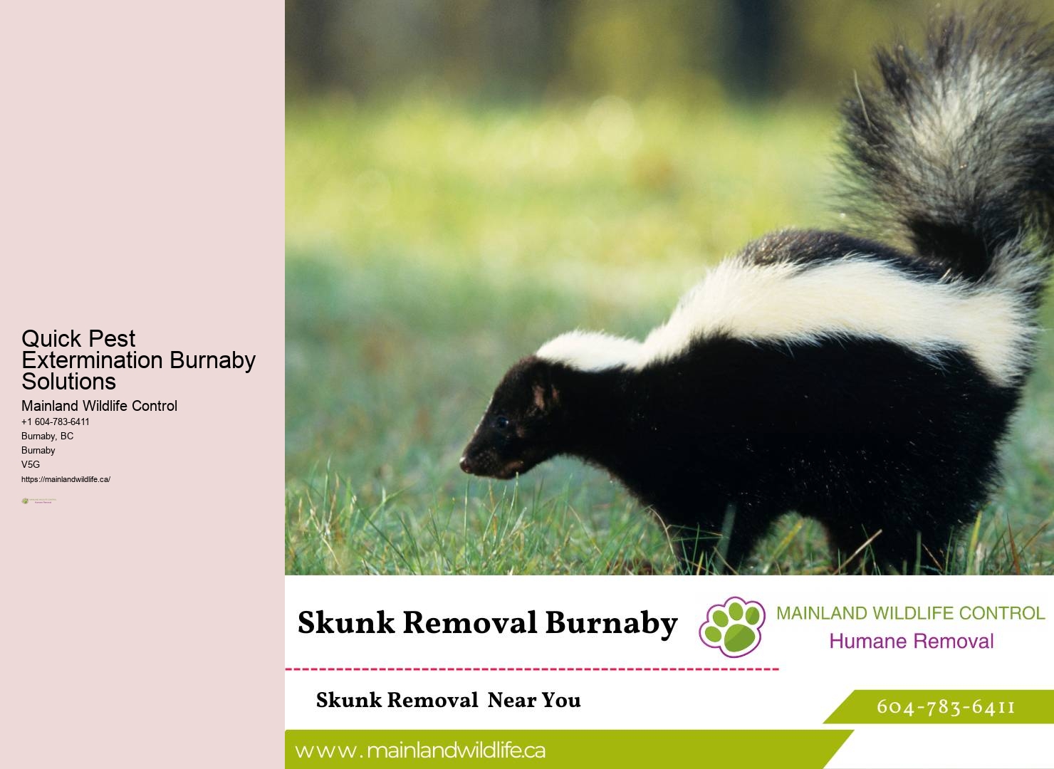 Trusted Residential Pest Eradication Burnaby