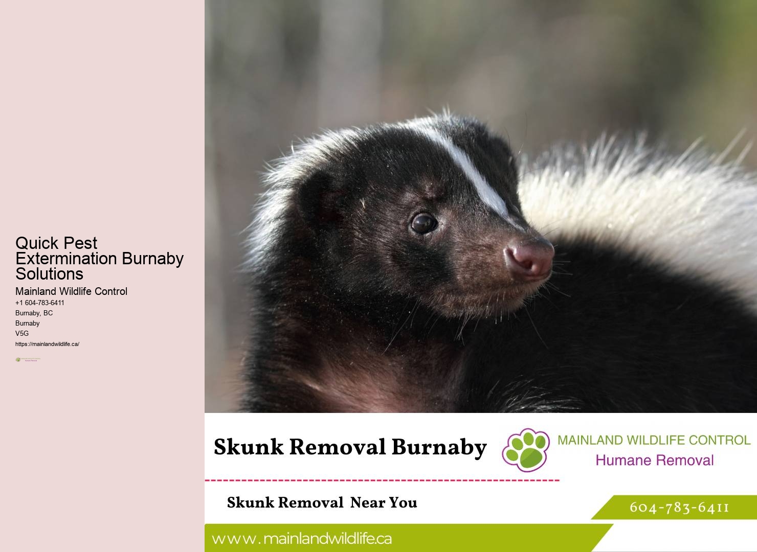 Reliable Residential Pest Prevention Burnaby
