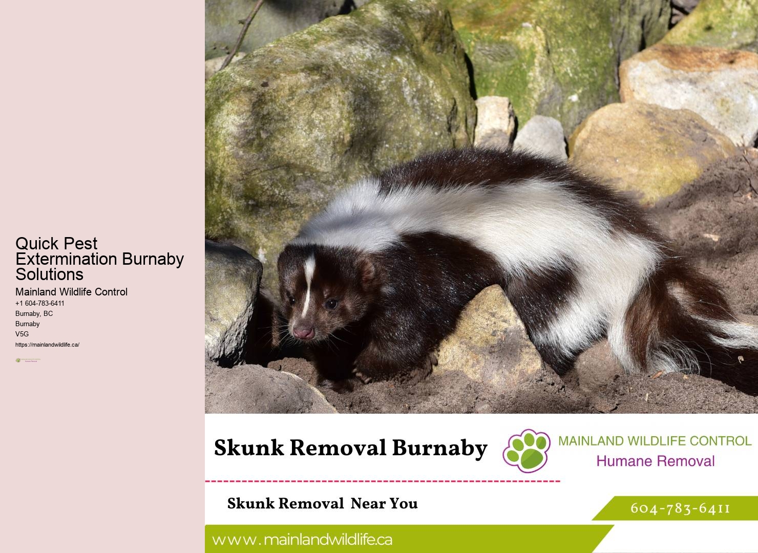 Monthly Pest Control Burnaby