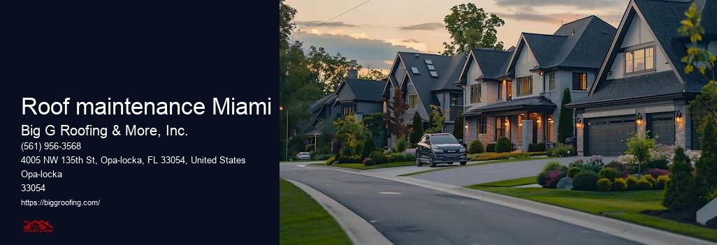 Roof maintenance Miami