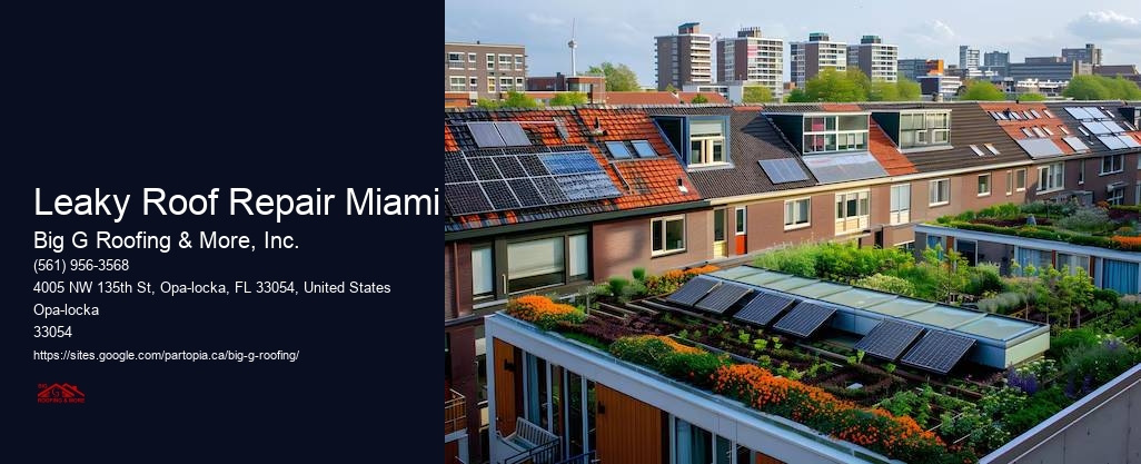 Leaky Roof Repair Miami