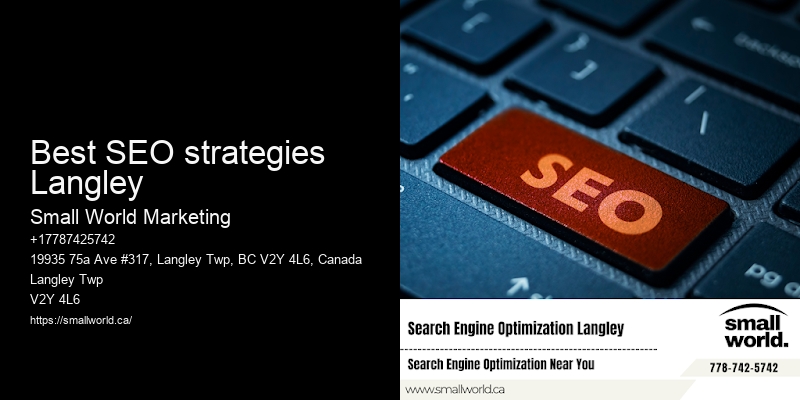 Best SEO strategies Langley