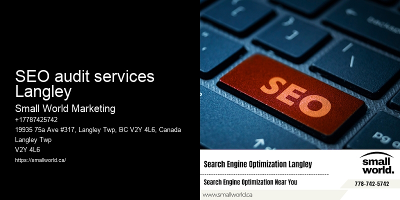 SEO audit services Langley