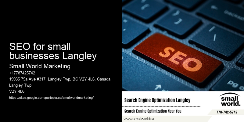 SEO for small businesses Langley