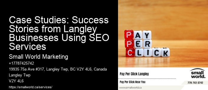 Case Studies: Success Stories from Langley Businesses Using SEO Services