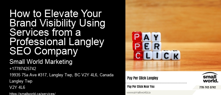 How to Elevate Your Brand Visibility Using Services from a Professional Langley SEO Company