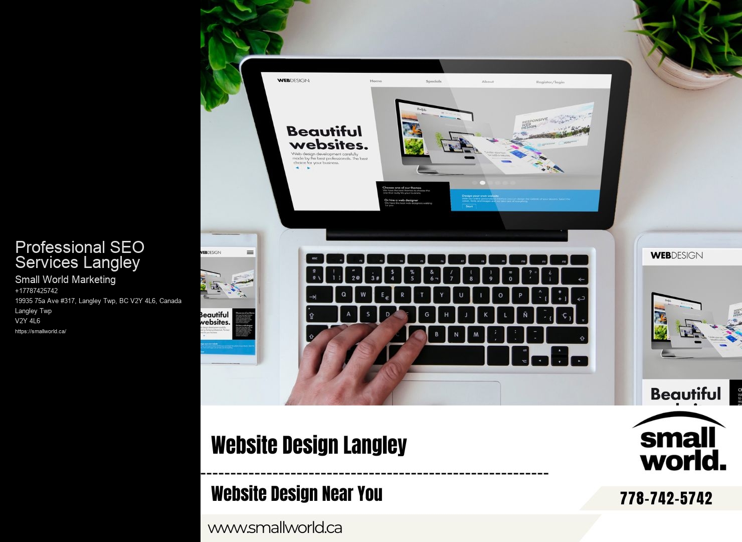 Local SEO Experts Professional SEO Services Langley BC