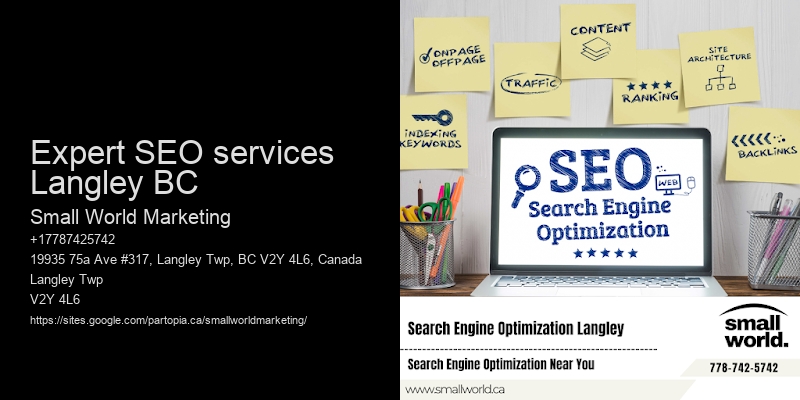 Expert SEO services Langley BC