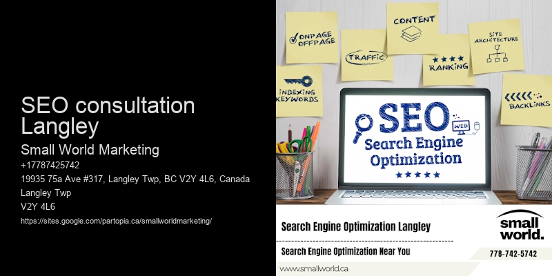 SEO consultation Langley
