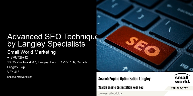 Advanced SEO Techniques by Langley Specialists