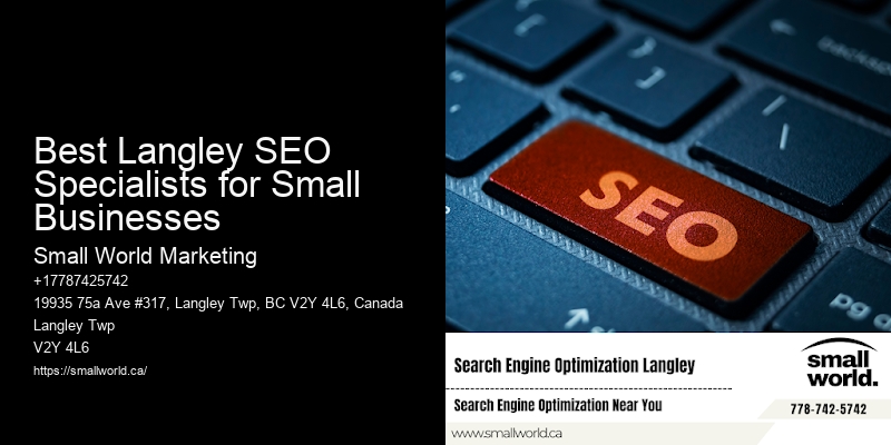 Best Langley SEO Specialists for Small Businesses
