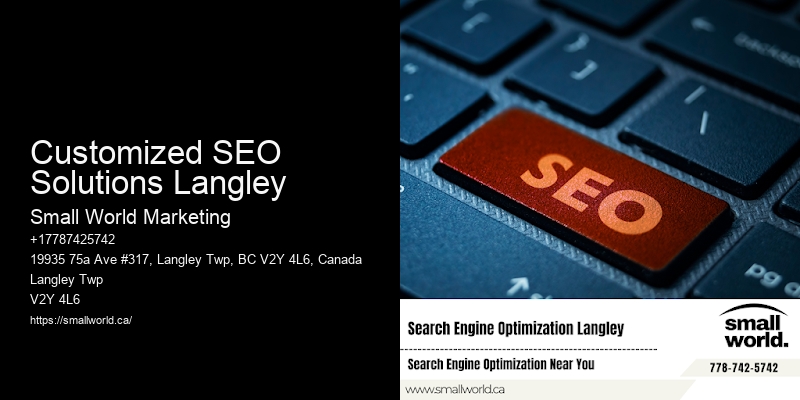 Customized SEO Solutions Langley